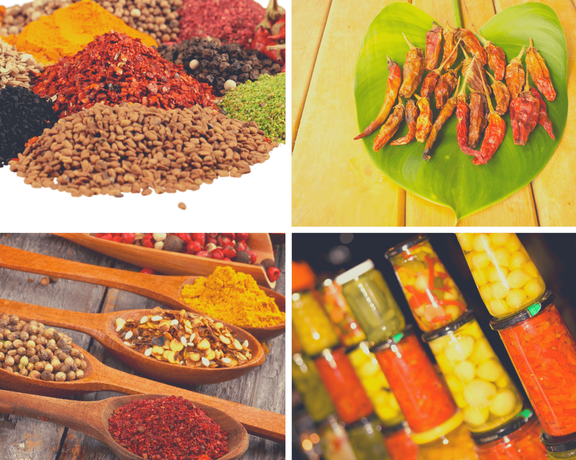 Epices et Condiments